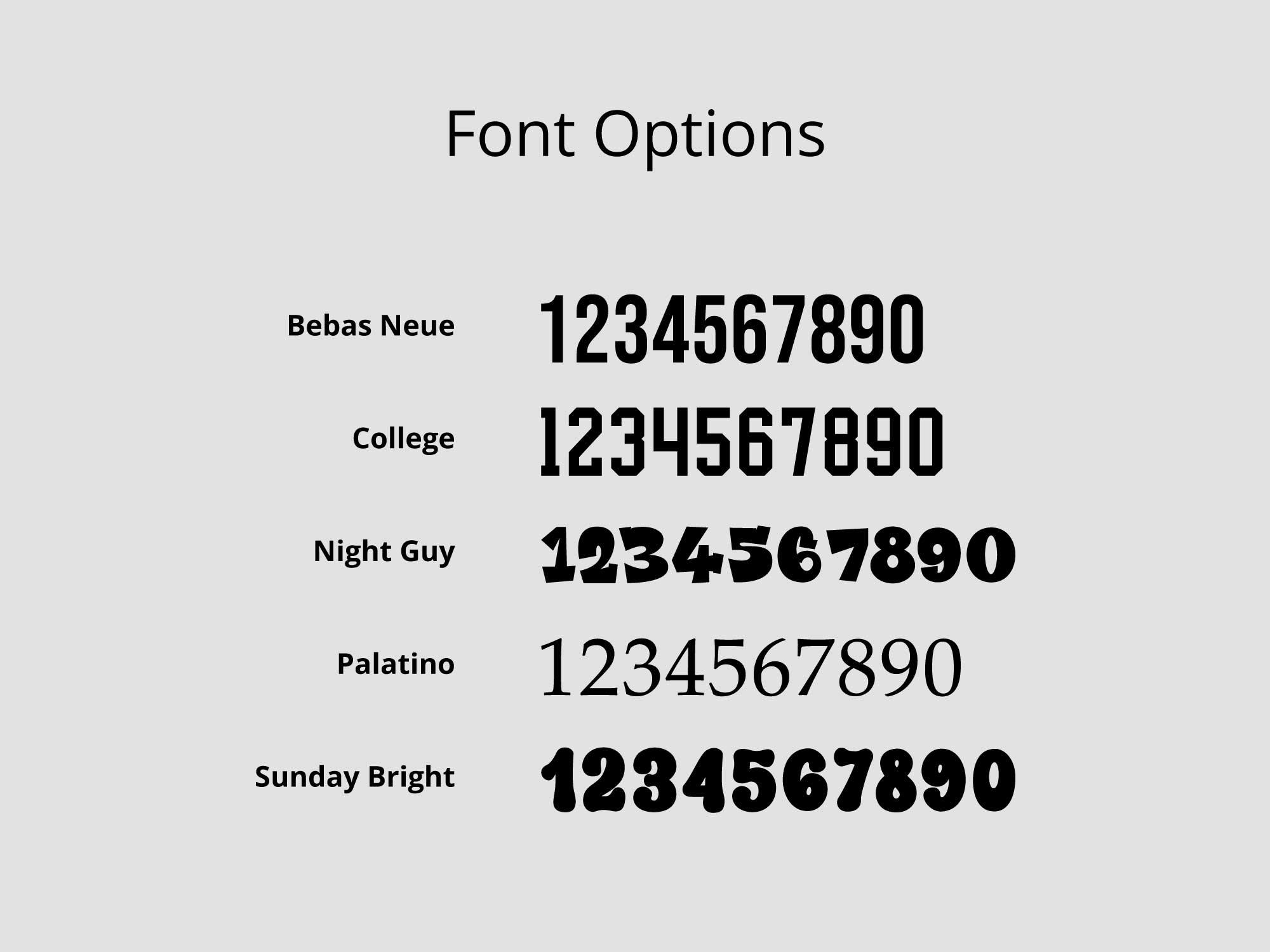 Available font previews: Bebas Neue, College, Night Guy, Palatino, and Sunday Bright