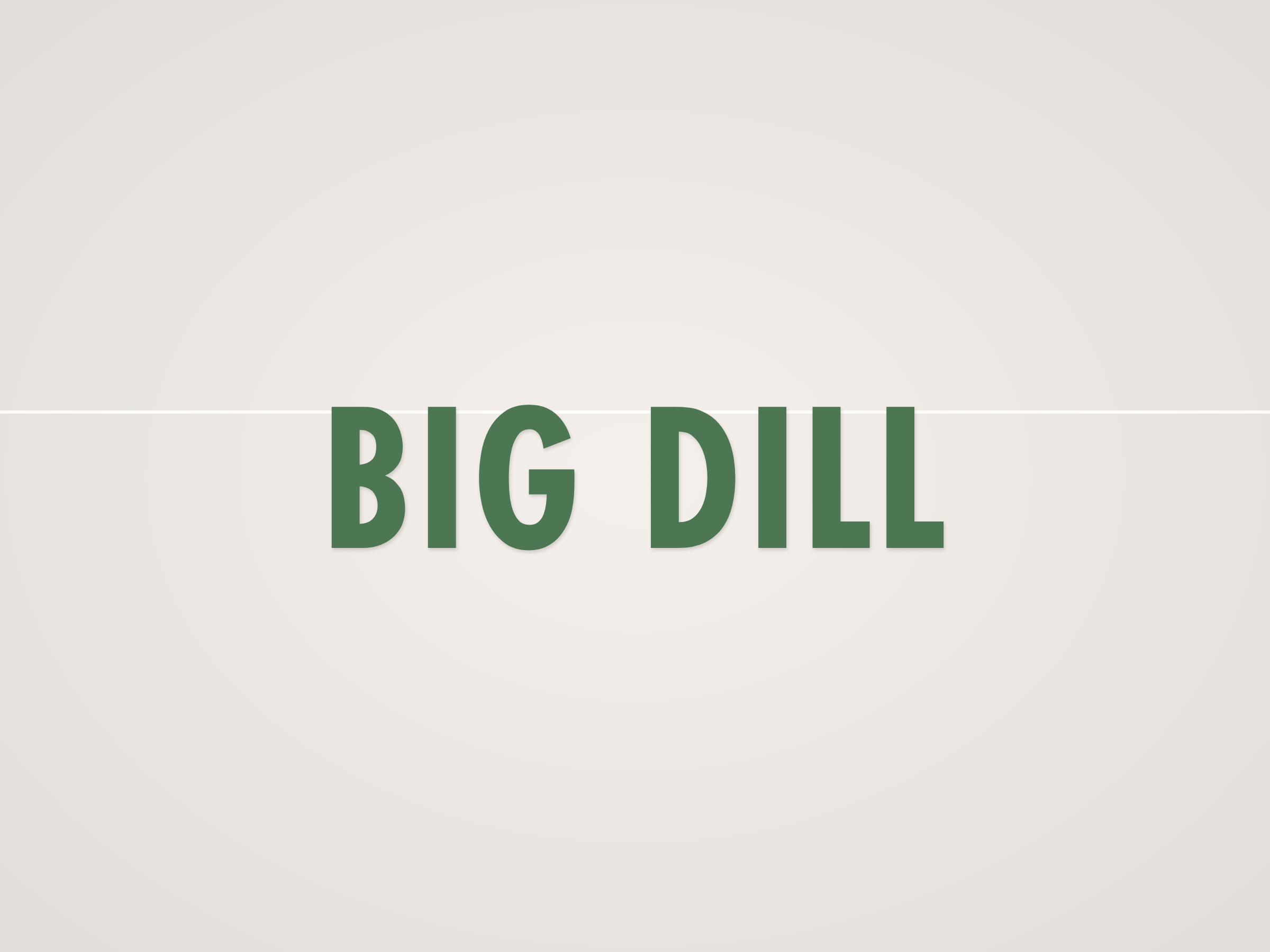 Big Dill Banner