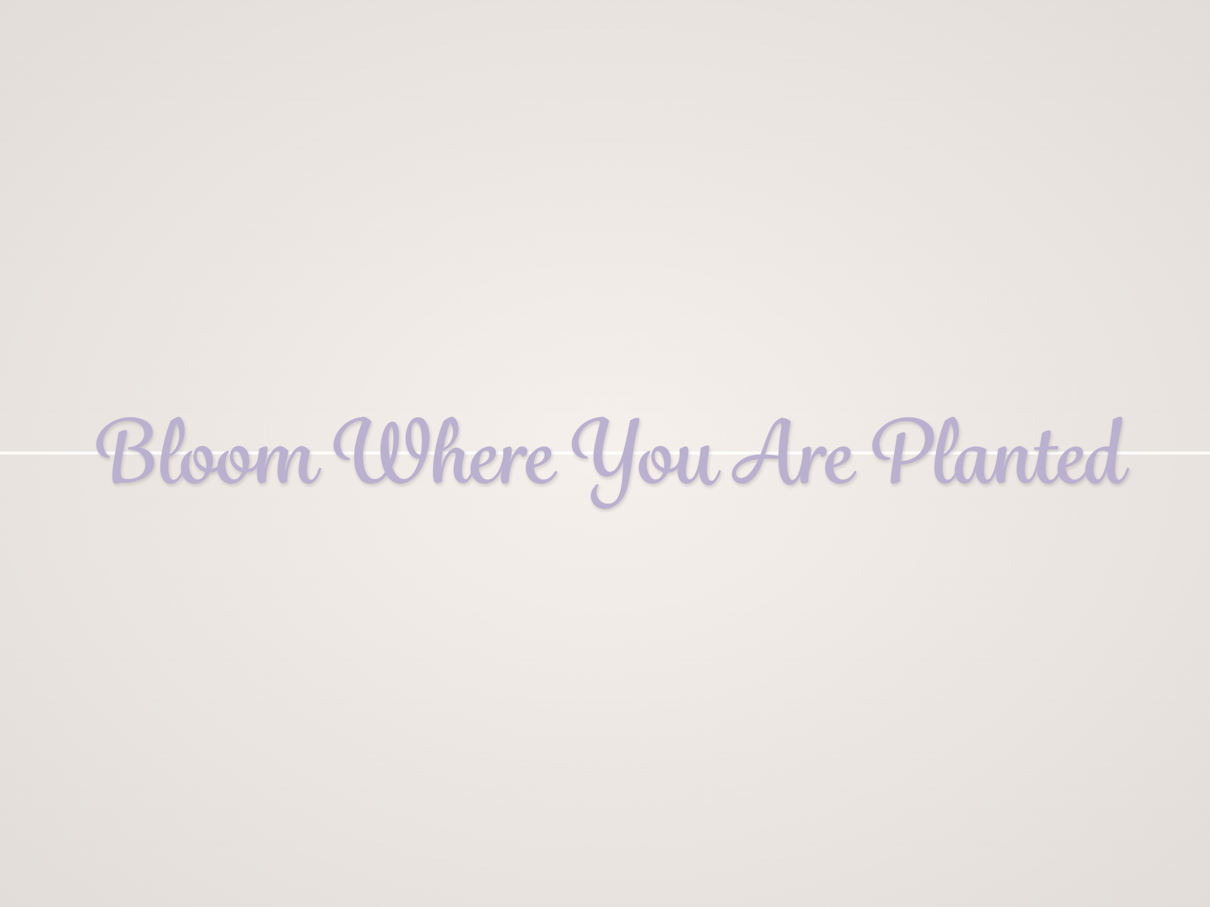 Bloom Where You Are Planted Banner