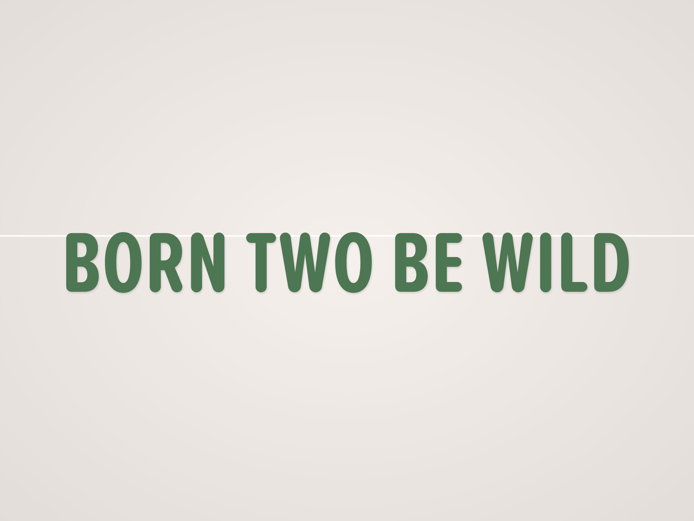 Born Two Be Wild Banner