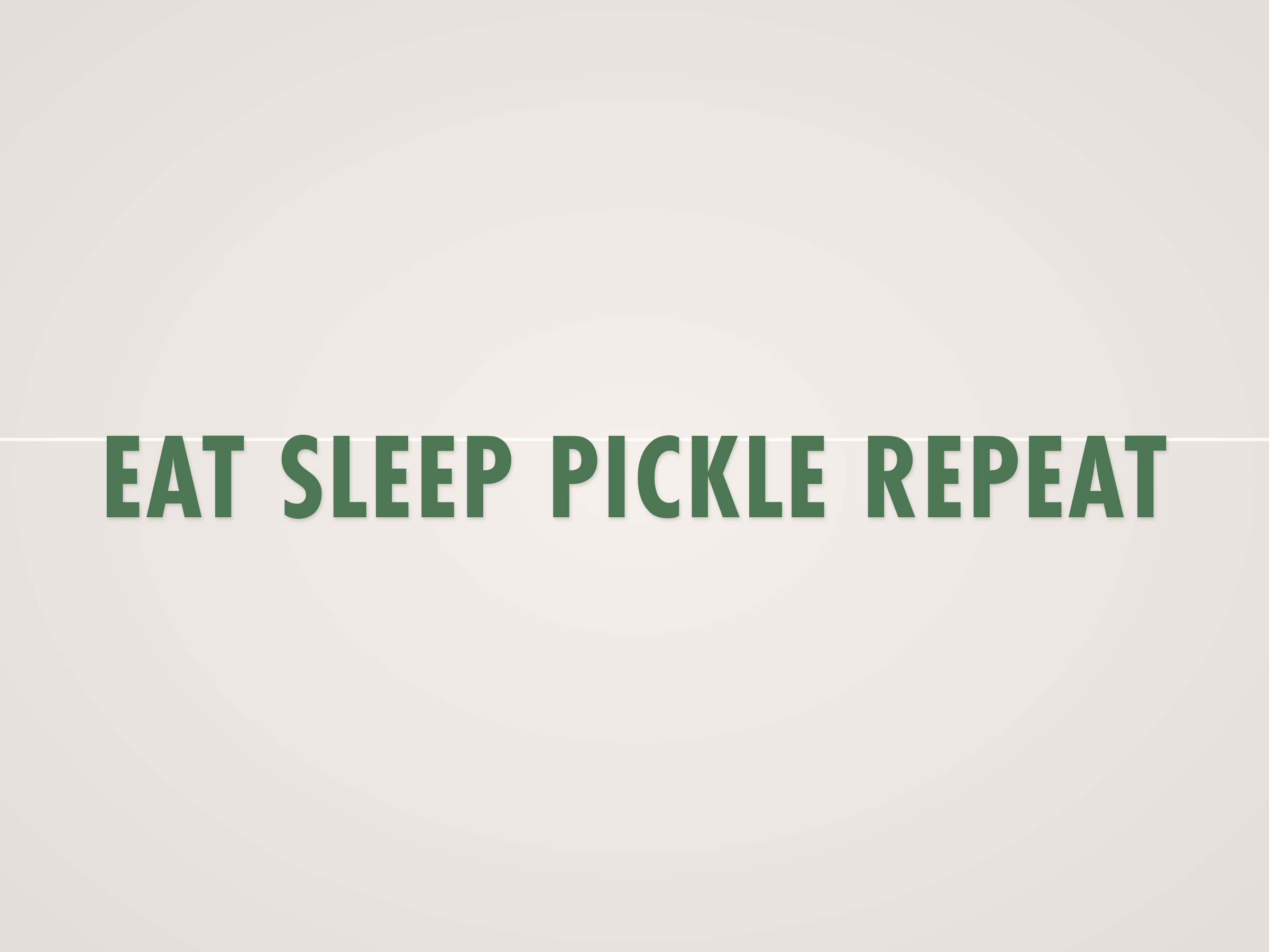 Eat Sleep Pickle Repeat Banner