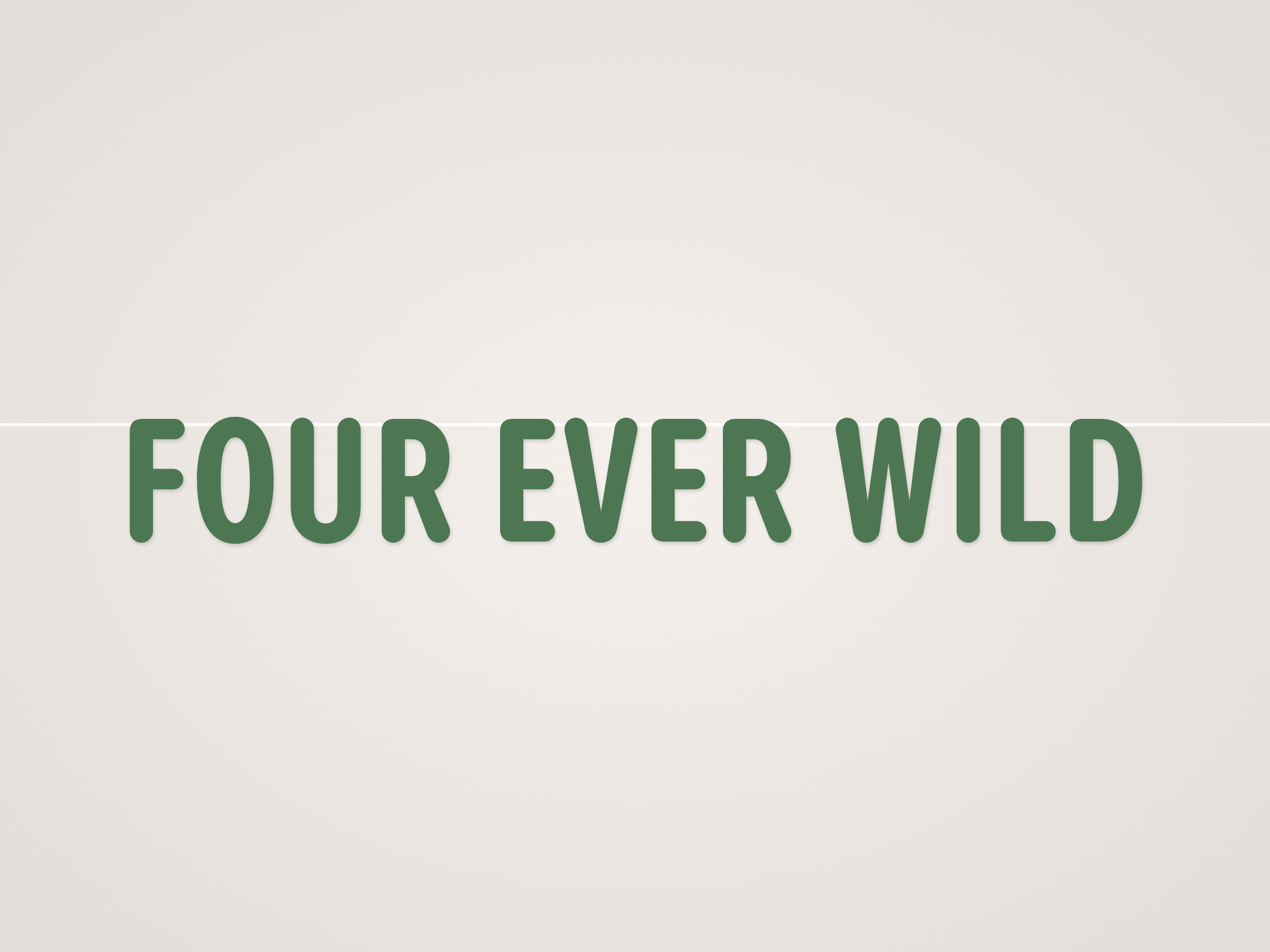 Four Ever Wild Banner