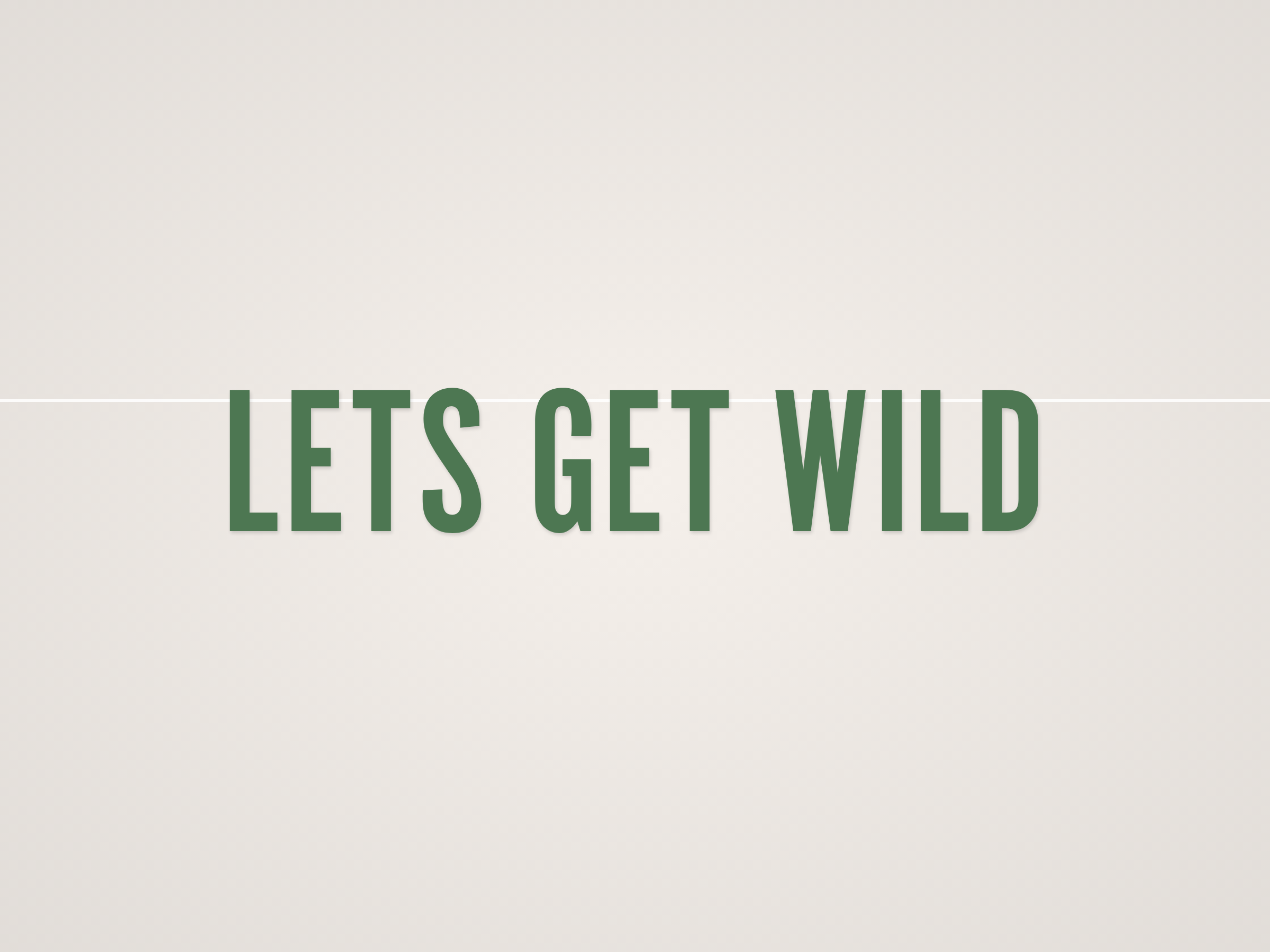 Lets Get Wild Banner
