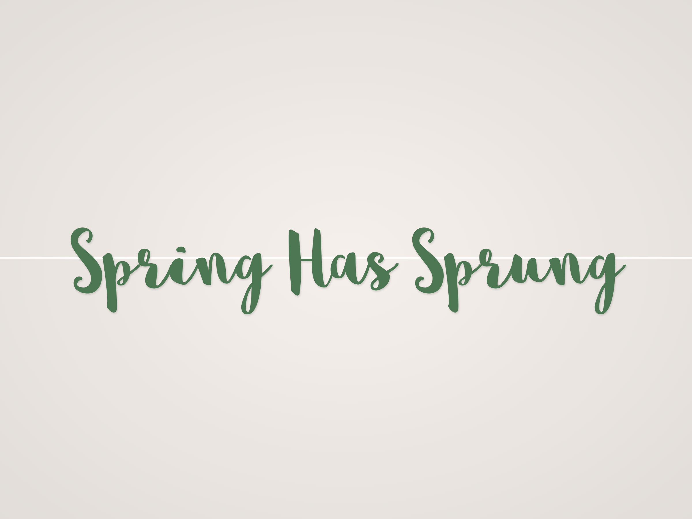 Spring Has Sprung Banner