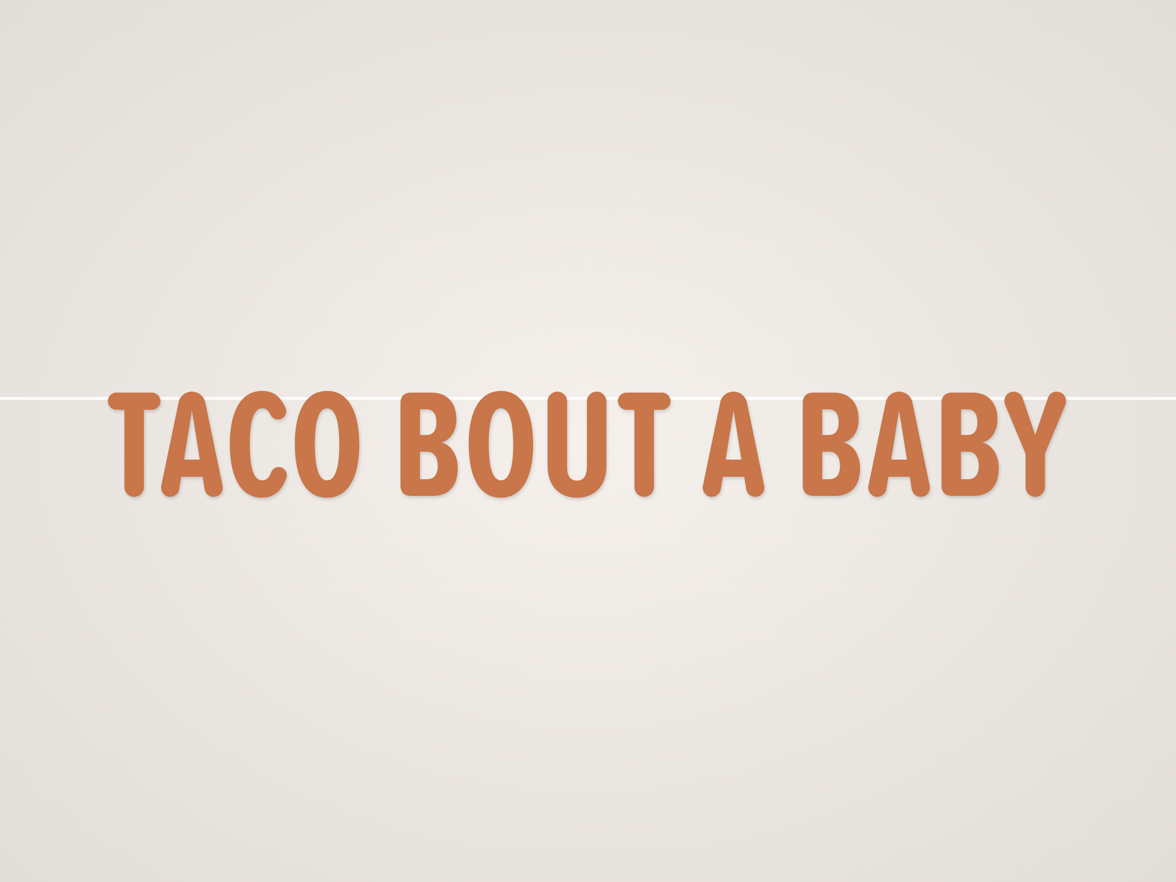 Taco Bout a Baby Banner