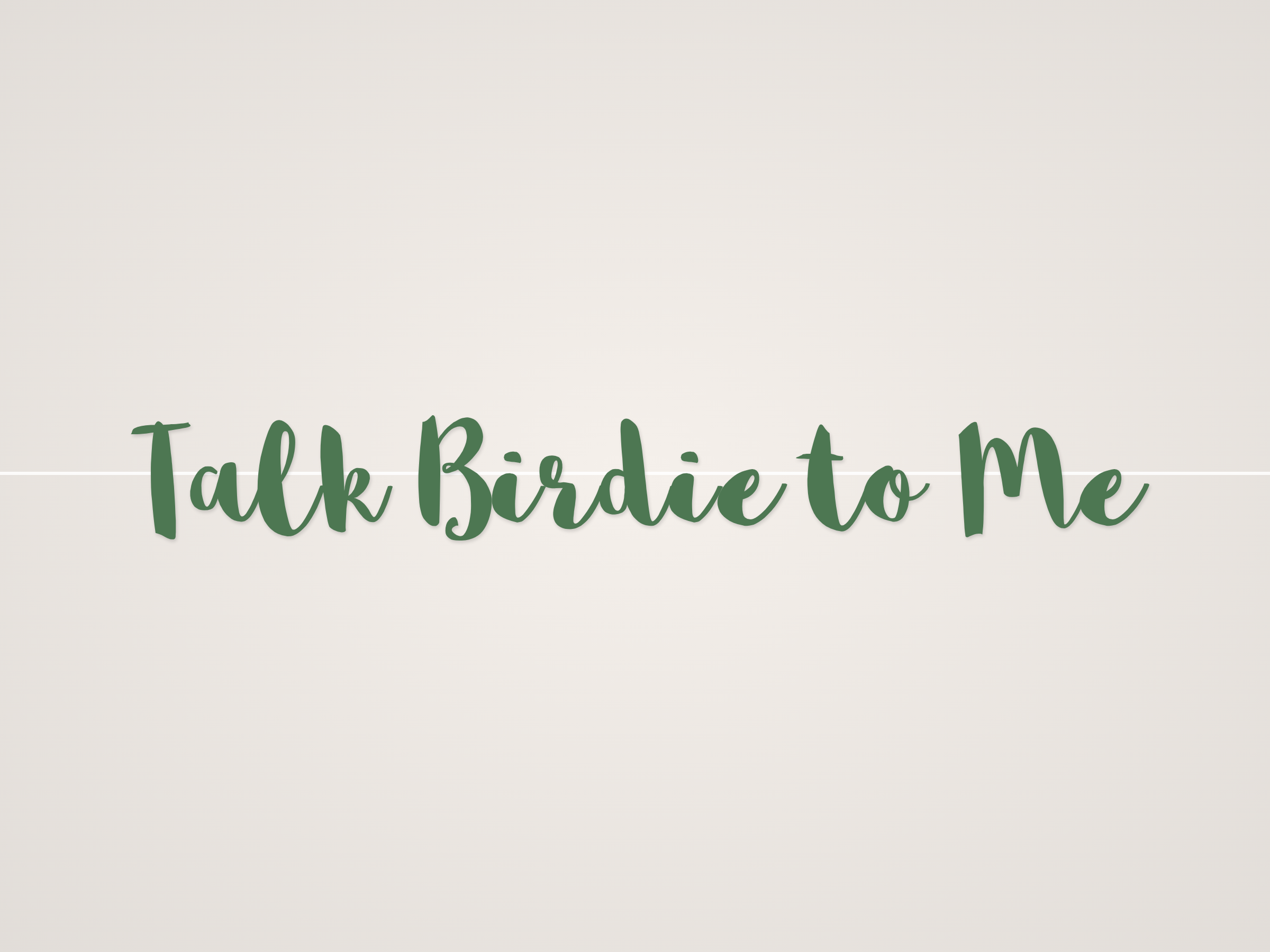 Talk Birdie to Me Banner
