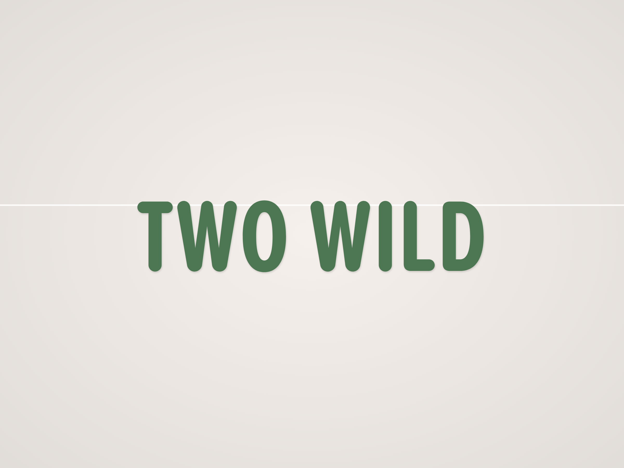 Two Wild Banner