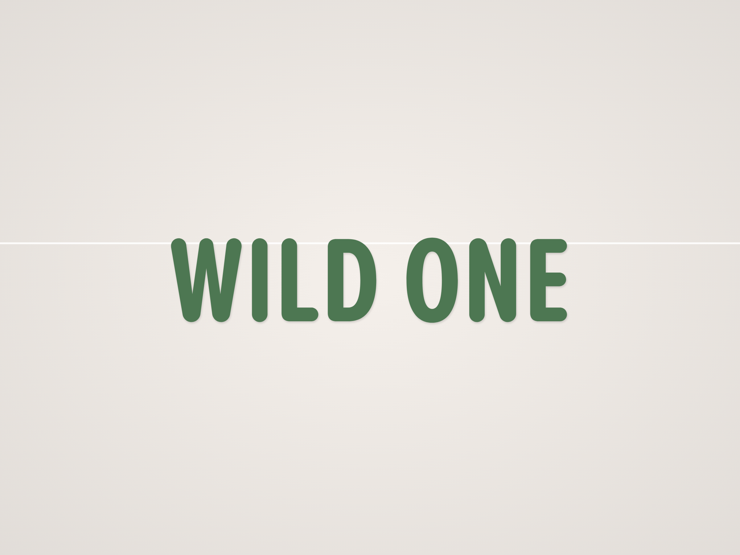 Wild One Banner
