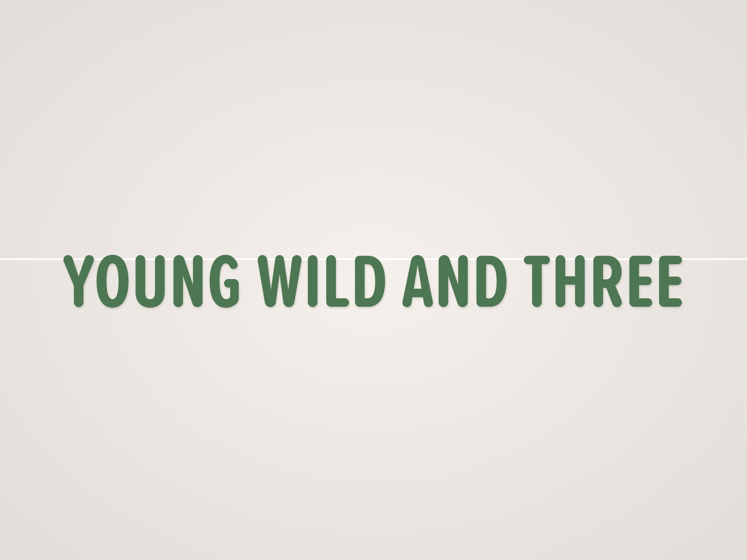 Young Wild and Three Banner