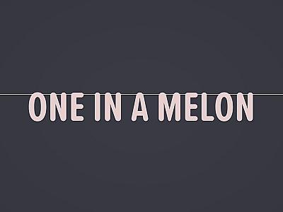 One in a Melon Banner