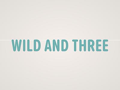 Wild and Three Banner