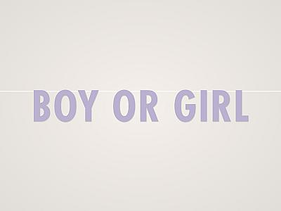 Boy or Girl Banner