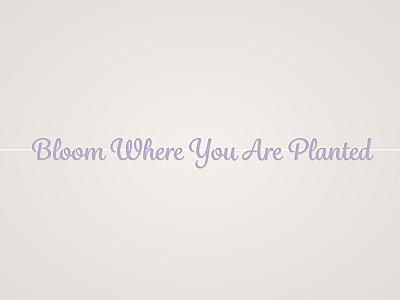Bloom Where You Are Planted Banner
