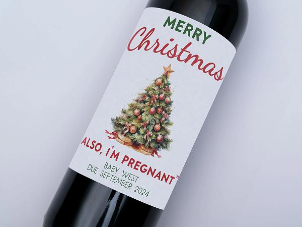 Christmas Baby Surprise