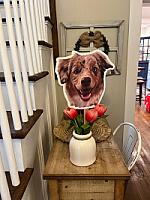 Review photo by Verified Buyer