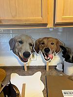 Review photo by Verified Buyer