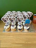 Review photo by Verified Buyer