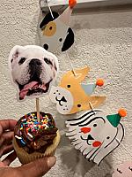 Review photo by Verified Buyer