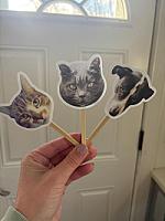 Review photo by Verified Buyer