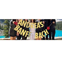 Review photo by Verified Buyer