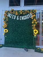 Review photo by Verified Buyer