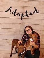 Review photo by Verified Buyer