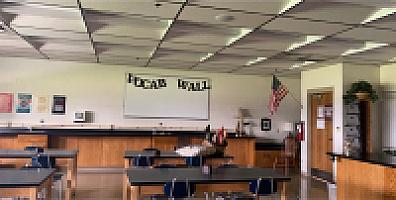 Review photo by Verified Buyer