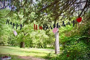 Review photo by Verified Buyer