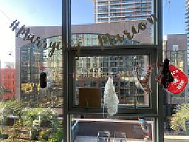 Review photo by Verified Buyer