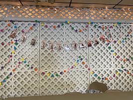 Review photo by Verified Buyer