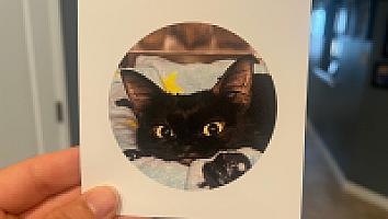 Review photo by Verified Buyer