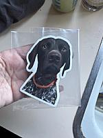 Review photo by Verified Buyer