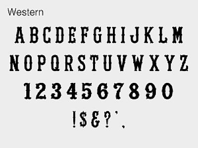 Custom "Western" Banner