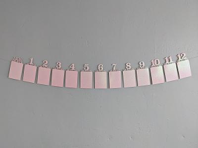 Monthly Milestone Photo Banner – Newborn to 999 Months, Baby's First Year & Beyond