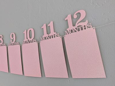 Monthly Milestone Photo Banner – Newborn to 999 Months, Baby's First Year & Beyond