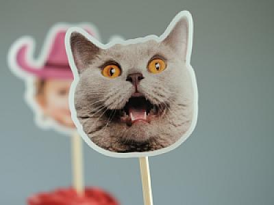 Custom Dog & Cat Cupcake Toppers