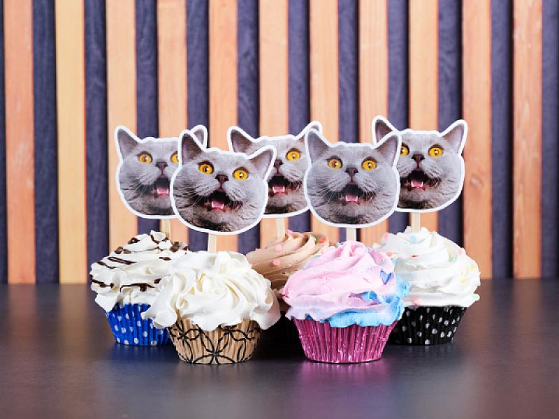 Custom Dog & Cat Cupcake Toppers