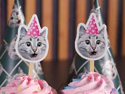 Custom Dog & Cat Cupcake Toppers