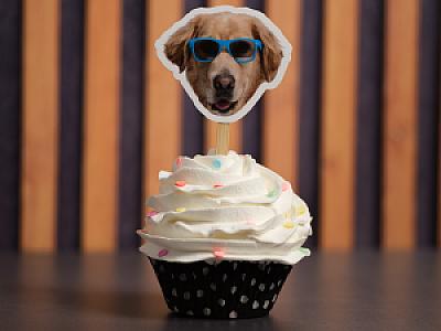 Custom Dog & Cat Cupcake Toppers