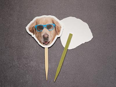 Custom Dog & Cat Cupcake Toppers