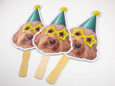 Pet Face on a Stick