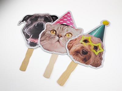 Pet Face on a Stick