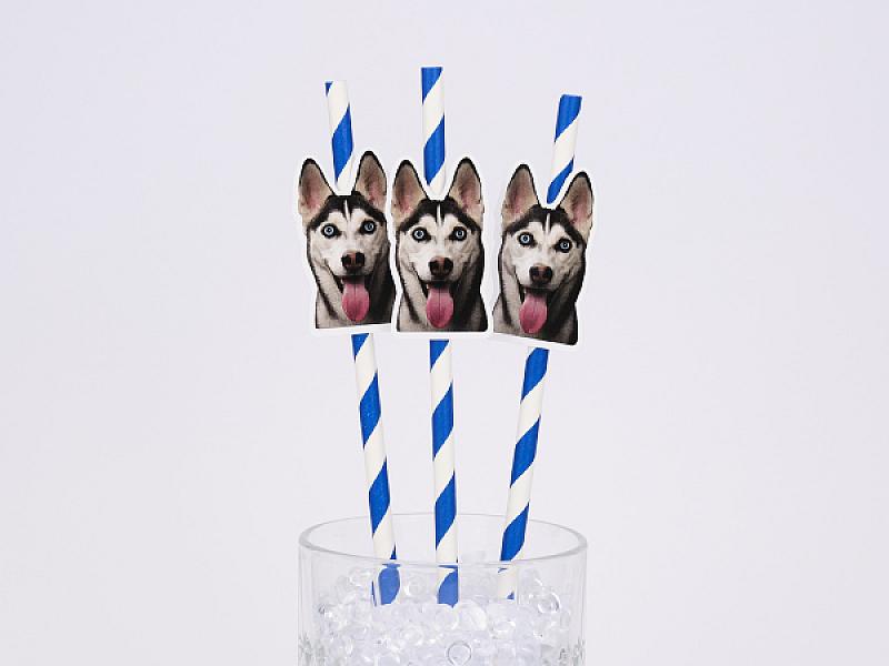 Custom Pet Straws, Personalized Dog & Cat Photo Straws
