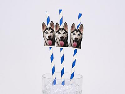 Custom Pet Straws, Personalized Dog & Cat Photo Straws