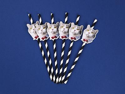 Custom Pet Straws, Personalized Dog & Cat Photo Straws