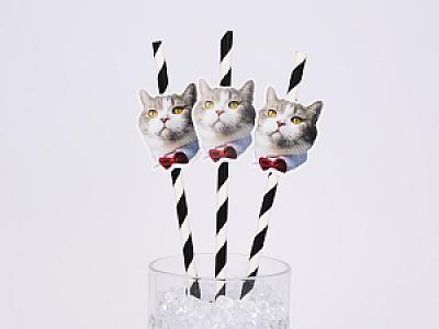 Custom Pet Straws, Personalized Dog & Cat Photo Straws