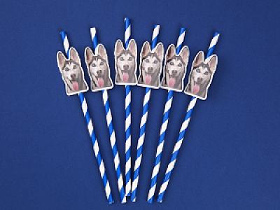 Custom Pet Straws, Personalized Dog & Cat Photo Straws