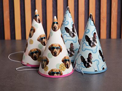 Custom Pet Party Hats, Photo Hats with Your Pet's Face