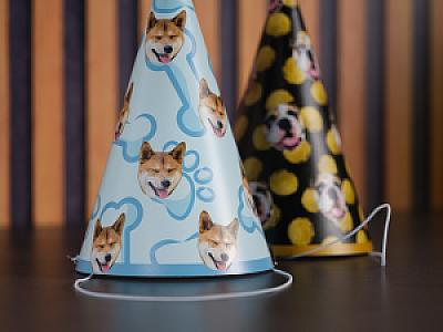 Custom Pet Party Hats, Photo Hats with Your Pet's Face