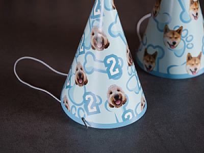 Custom Pet Party Hats, Photo Hats with Your Pet's Face